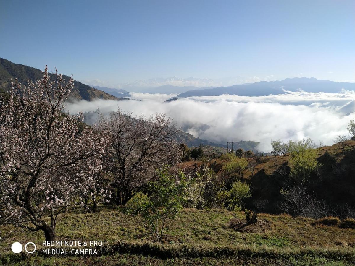 In Apple Estate Kanatal - Himalayan View Resort With Courteous Staff Екстер'єр фото