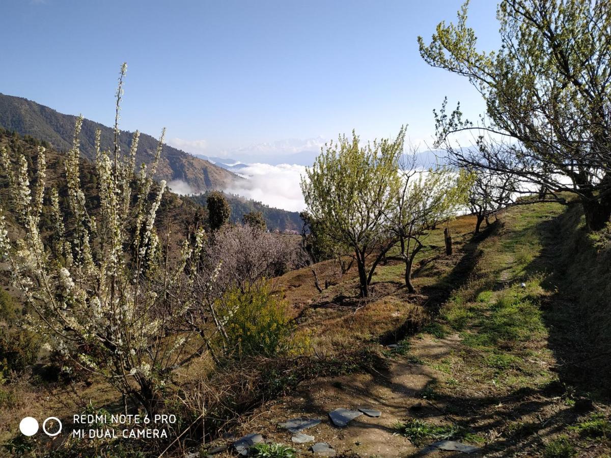 In Apple Estate Kanatal - Himalayan View Resort With Courteous Staff Екстер'єр фото